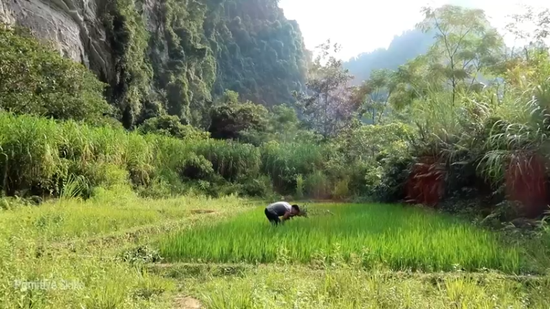 D2季经典T30鱼苗和稻田(9)【真人我的世界-空手发展-单人炼铁】