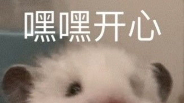 游戏日常