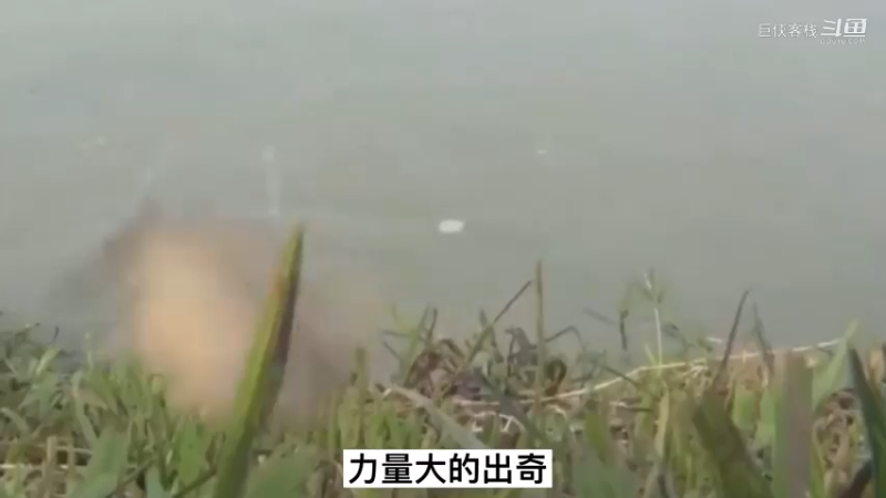 豆瓣7分《鬼吹灯之云南虫谷》小说演义15)分集剧情；虎头蛇尾，还不如精绝古城！更不如龙岭谜窟！