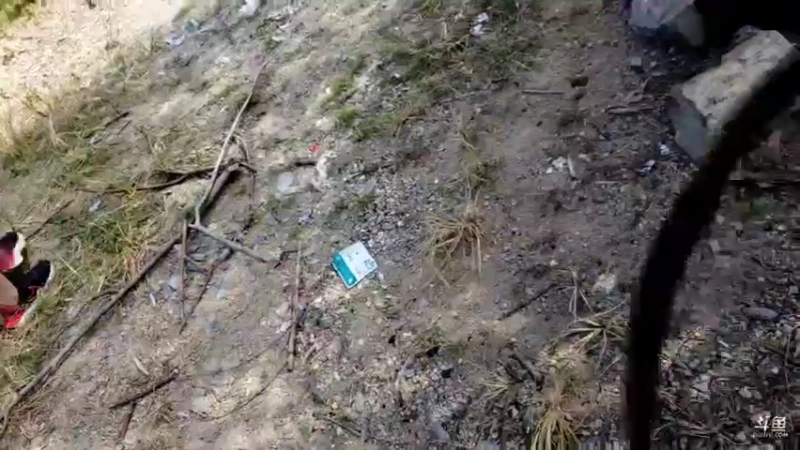 【2021-09-08 15点场】魅力生活i：户外美食钓钓鱼