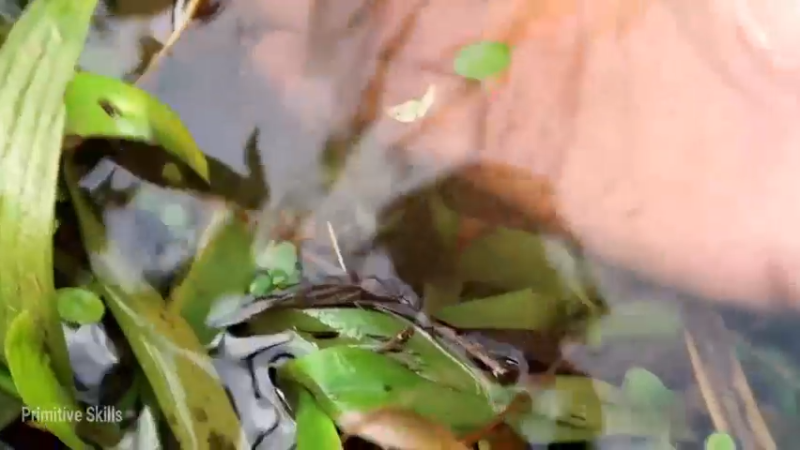 D2季经典T30鱼苗和稻田(3)【真人我的世界-空手发展-单人炼铁】