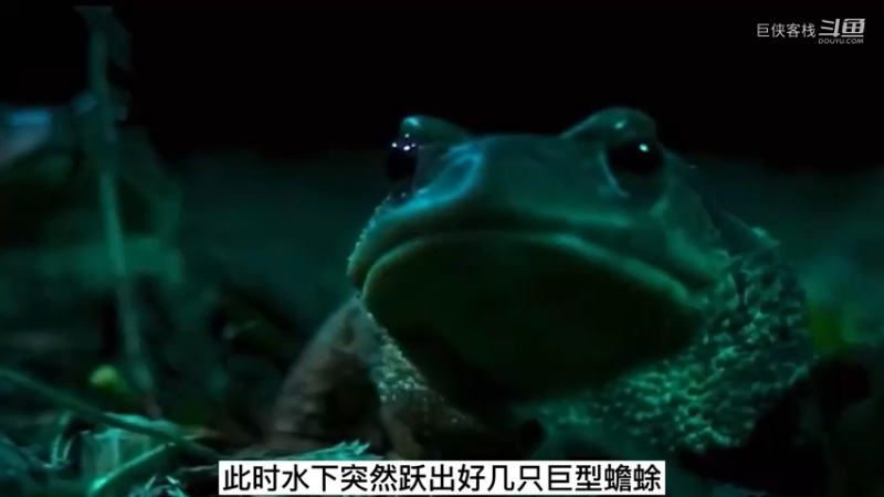 豆瓣7分《鬼吹灯之云南虫谷》小说演义10)分集剧情；虎头蛇尾，还不如精绝古城！更不如龙岭谜窟！