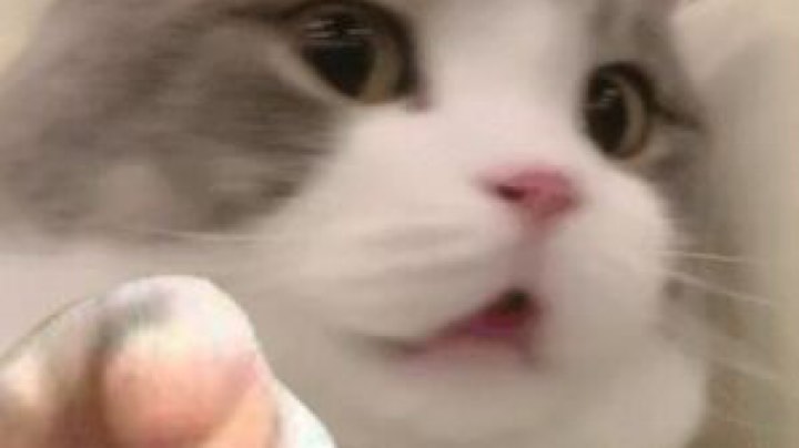 【 2021-09-07 19点场】糖醋鲲：我的巅峰队友没有