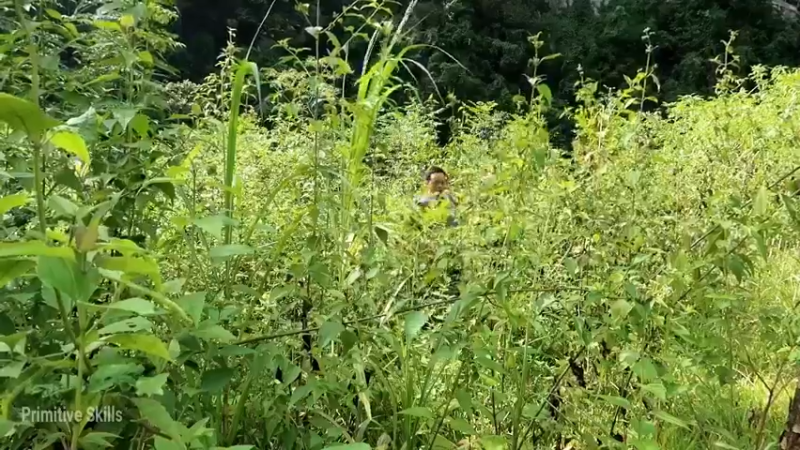 D2季经典T30鱼苗和稻田(7)【真人我的世界-空手发展-单人炼铁】