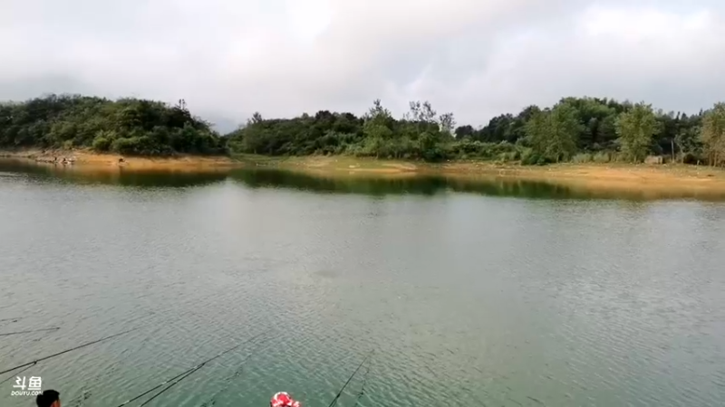 【2021-09-08 07点场】中华户外钓鱼：开播啦，通山富水干鲢鳙