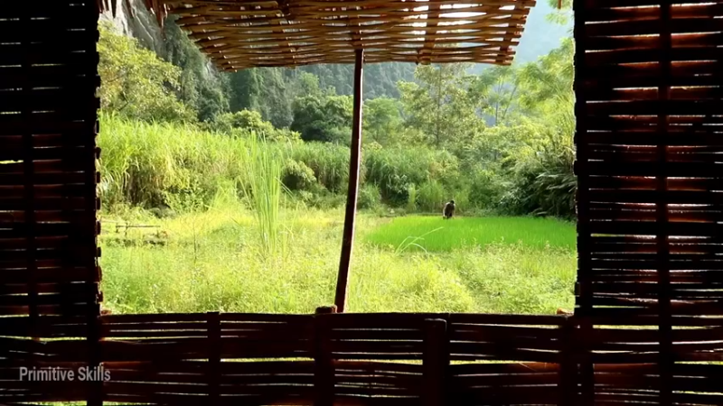 D2季经典T30鱼苗和稻田(5)【真人我的世界-空手发展-单人炼铁】