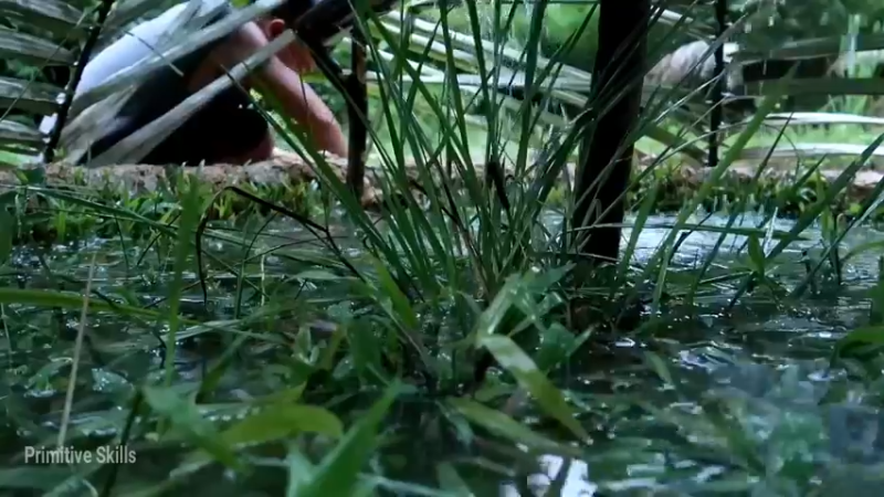 D2季经典T26鱼卵变小鱼(4)【真人我的世界-空手发展-单人炼铁】