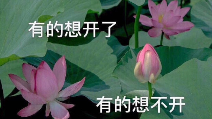 …………