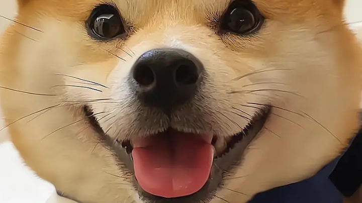 ！