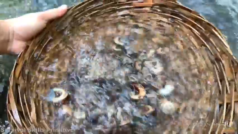 更新P17偷偷独自烹饪美食(6)椰熏蜗牛