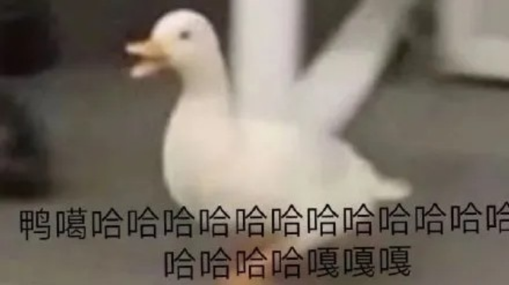游戏日常