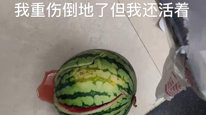 9.8录播