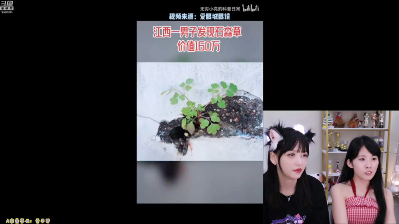 我在斗鱼看不2不叫周淑怡直播英雄联盟