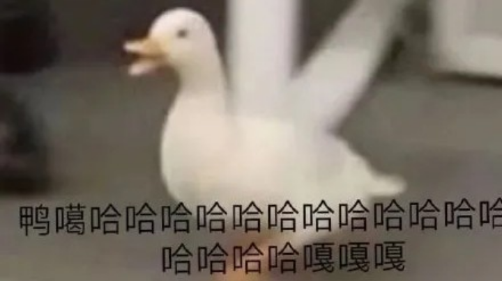 游戏日常