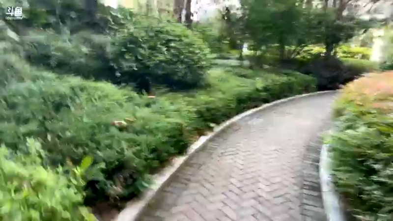 【2021-09-08 17点场】驴酱的冯雨大王：冯雨大王：双倍经验已开，送送小礼物~