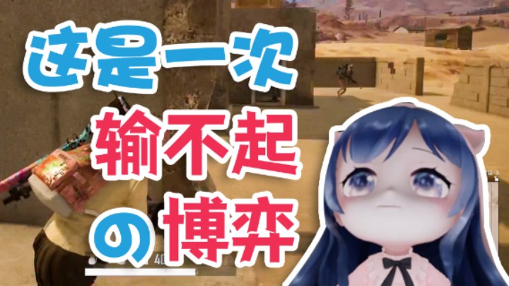 【一条小团团】这是一次输不起的博弈