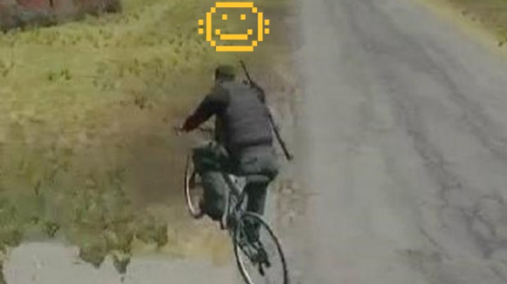 DAYZ马帮行者 海边闲逛连续遇到一群