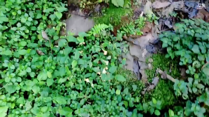【2021-09-07 08点场】小岳哟：[小岳]最宠粉主播已上线