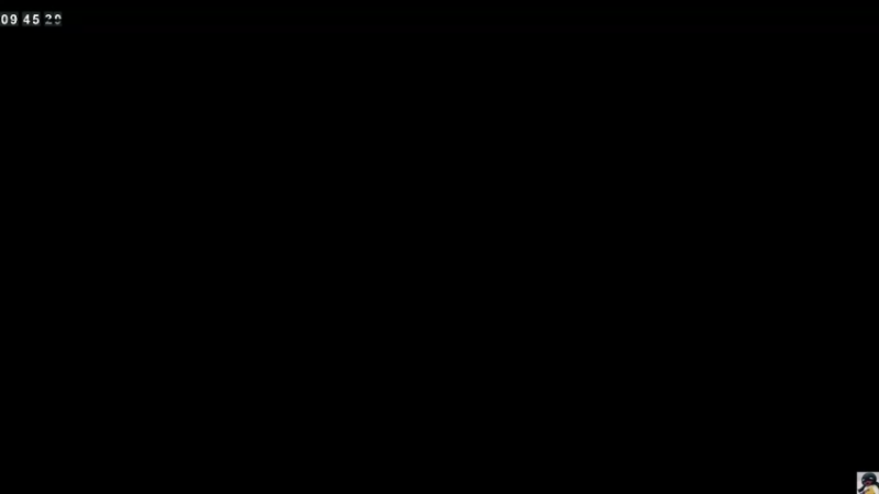 【2021-09-03 09点场】小熊来啦：ʕ •ɷ•ʔฅ