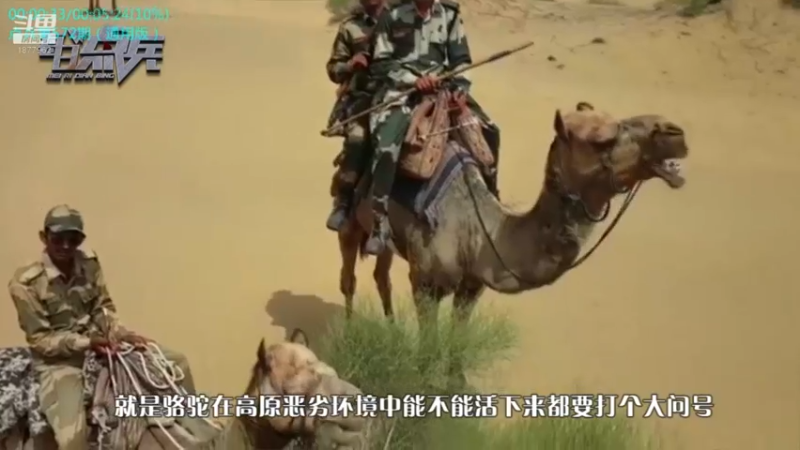 【2021-09-09 15点场】每日点兵Top：最美的大飞机-中国胖妞