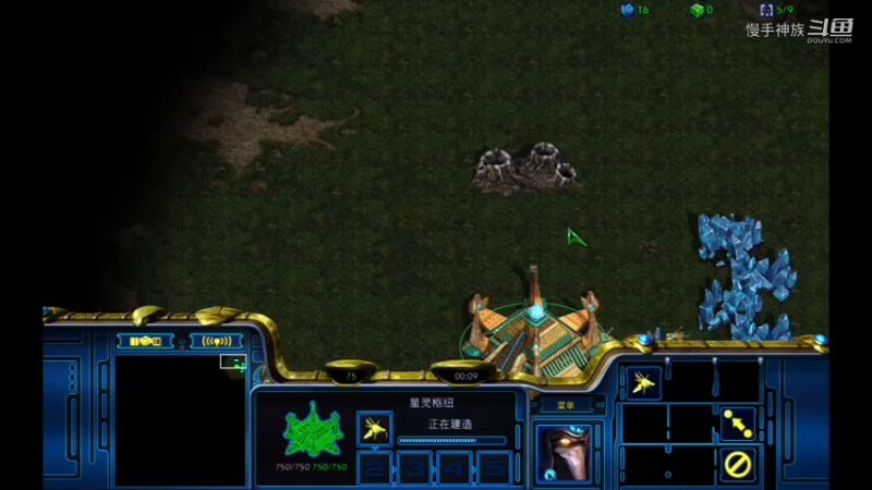 pvp天梯防973的虫2021-09-09