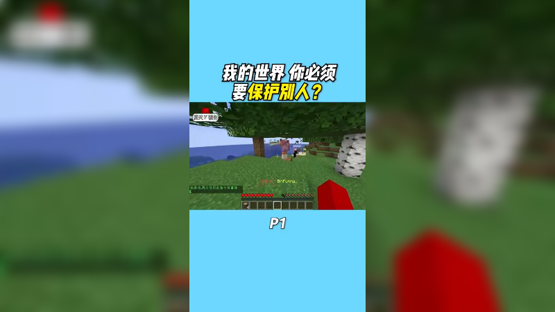 我的世界 但是你必须保护其他玩家？