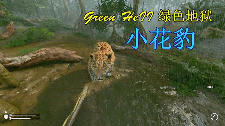 造房子
