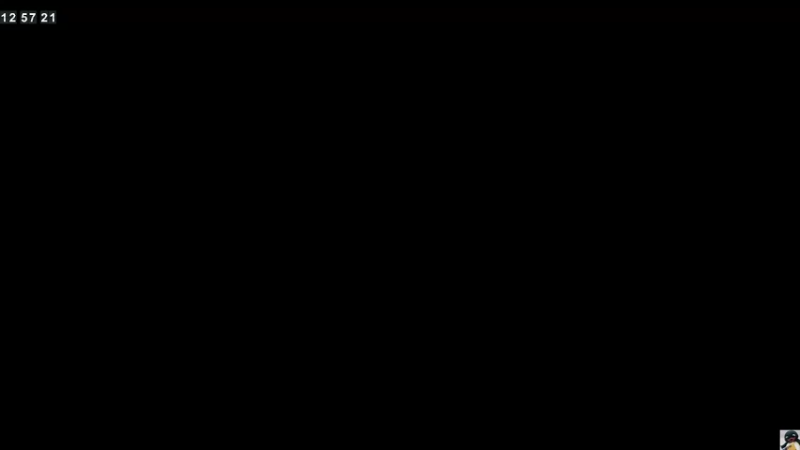 【2021-09-03 12点场】小熊来啦：ʕ •ɷ•ʔฅ