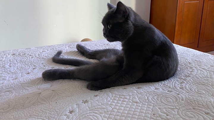 经典怀旧NAX X9月7日天启团