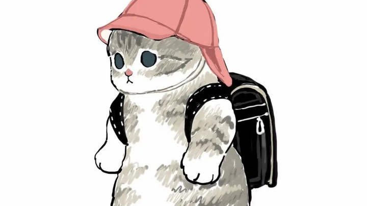 视频