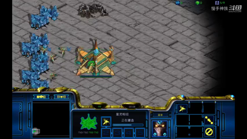 天梯pvp遇到罗双开局2021-09-09