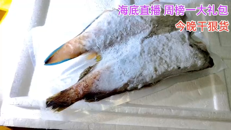 【2021-09-08 22点场】海道丶：金海龙爆仓啦！
