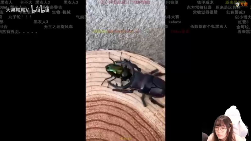 【2021-09-09 14点场】甜心战士：♥机甲大兔几的冒险~♥