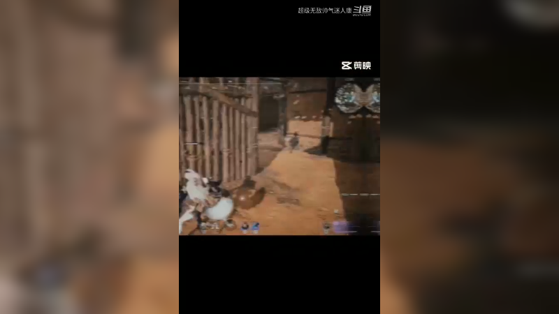 小七和白老师也太强了吧