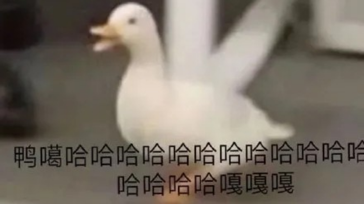 游戏日常