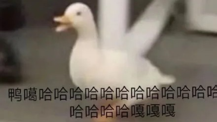 游戏日常