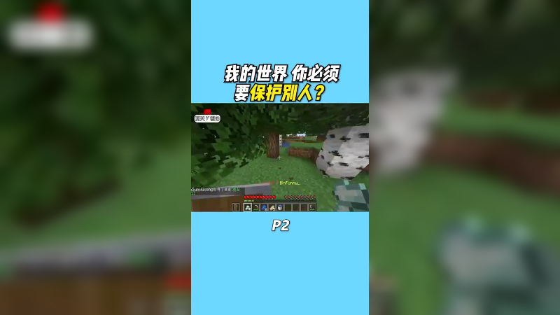 当要保护其中一个玩家时