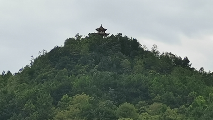真不错