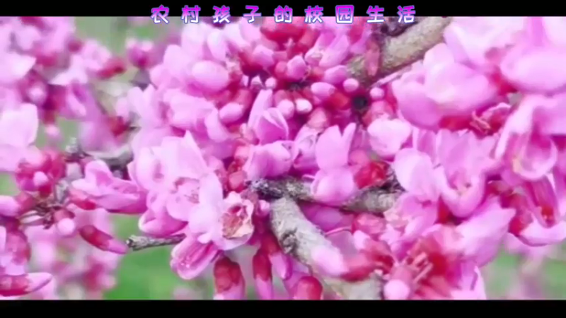 农村孩子的校园生活！