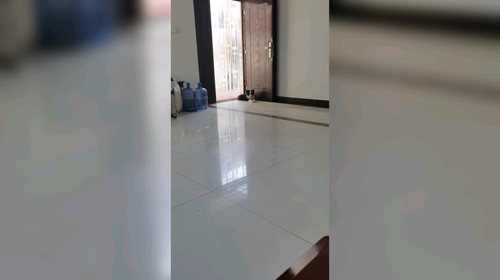 他什么也不懂，主人的女朋友没了不高兴，他还以为是生他的气