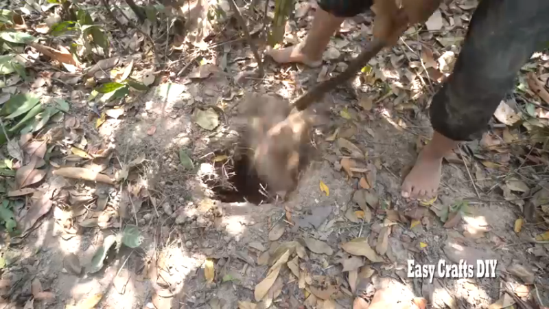 (户外泳池皇后(5) 吾皇的第4个泳池@户外地宫KTV泳池