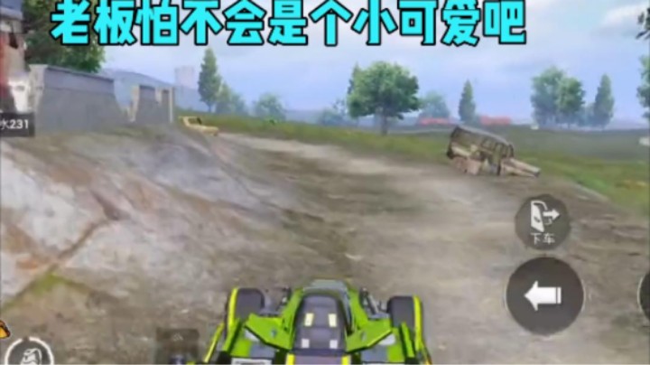 这就是我的“真爱粉”？
