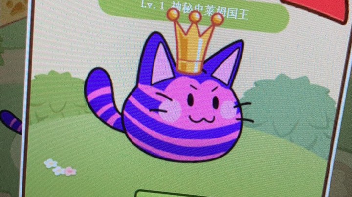 直播回看
