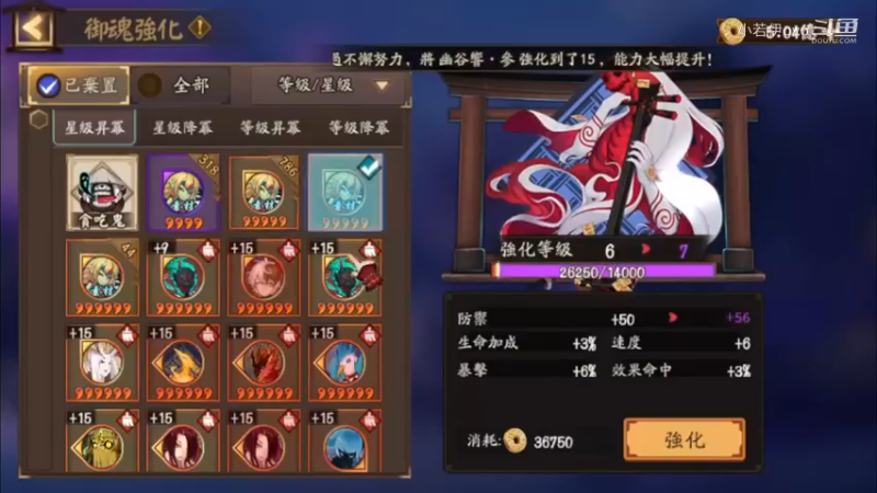 【阴阳师】老板让直播，天啊出超多好东西，快上车了！ (202109029)