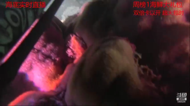 【2021-09-10 20点场】海道丶：今晚八点海底直播干巨物
