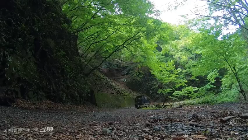 【户外露营】热爱大自然的女孩 忙里偷闲的森林午餐时间_2