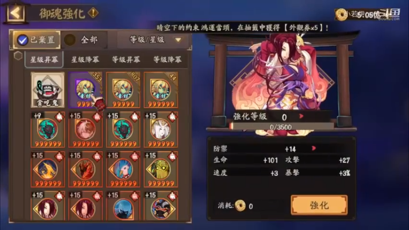 【阴阳师】老板让直播，天啊出超多好东西，快上车了！ (202109027)
