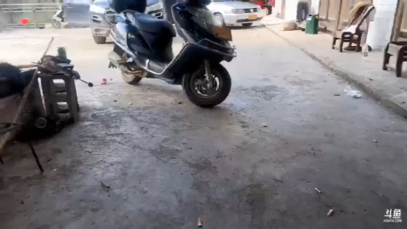 【2021-09-10 15点场】魅力生活i：感谢龙哥带来的海鲜