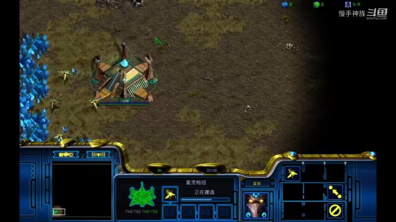 pvt双兵营开局 一波打穿2021-09-10