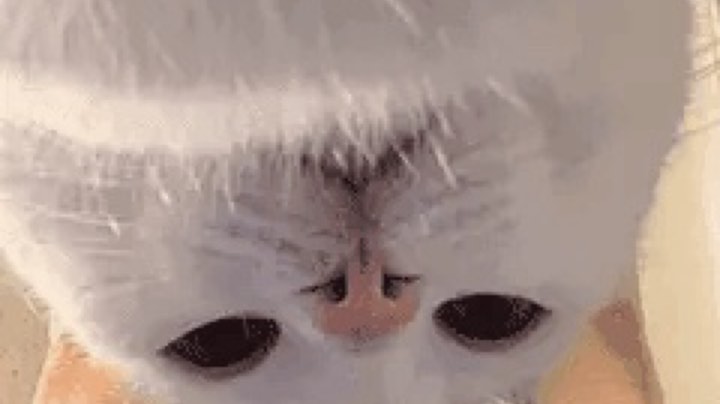 【 2021-09-09 17点场】糖醋鲲：我的巅峰队友没有